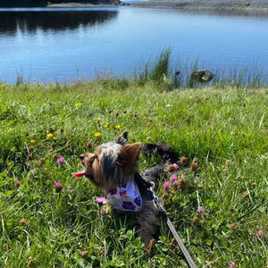 Meet your Posher, Ava